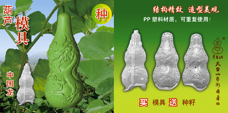 Illustration for article titled Chairman Mao-Shaped Fruit Are Being Grown in China
